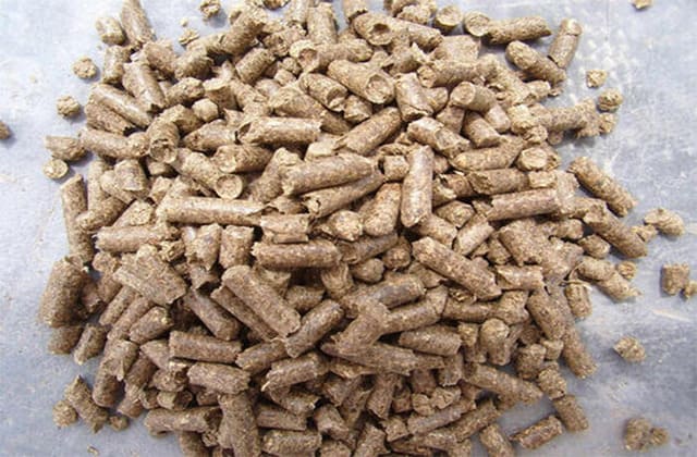 药包材E&L研究方案设计案例