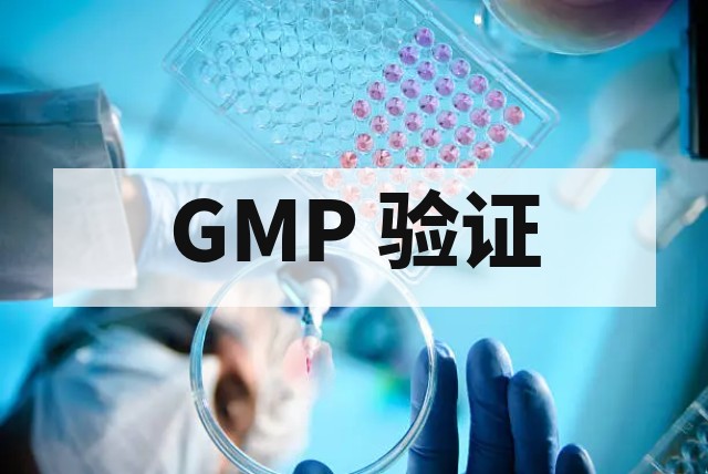 药企 GMP 验证最容易漏什么？