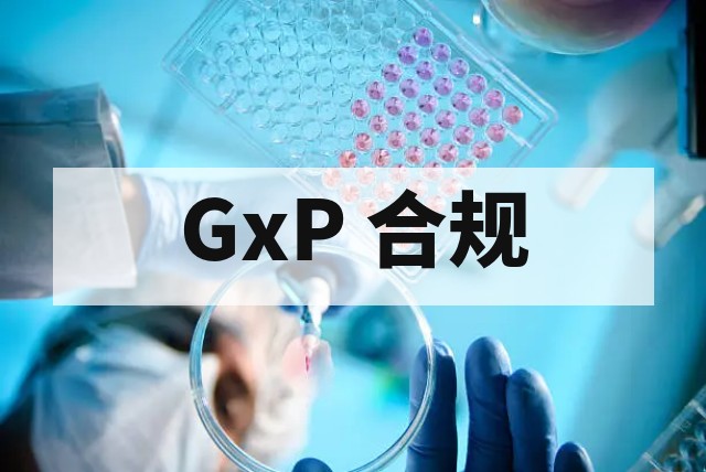 GxP 计算机化系统验证指南：法规遵从与生命周期管理
